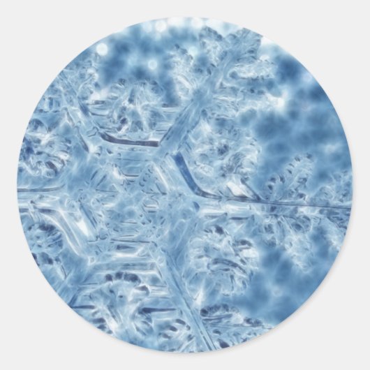 Sticker Rond Gelée Cristal de glace Flocon de neige fractal (Devant)