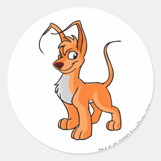 Sticker Rond Gelert Orange (Devant)