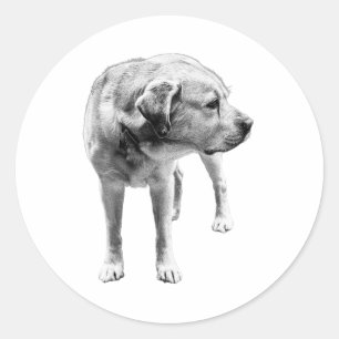 Sticker Rond Gentle Lab - Coeur dédié