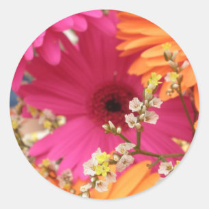 Sticker Rond Gerber Daisy