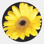 Sticker Rond Gerber Jaune Daisy Fermer la photo (Devant)