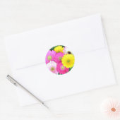 Sticker Rond Gerbera Daisy Colors (Enveloppe)
