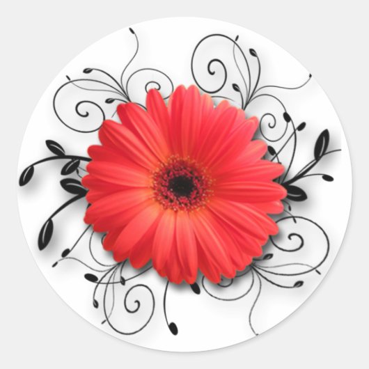 Sticker Rond Gerbera Daisy Thème (Devant)
