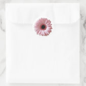 Sticker Rond Gerbera Marguerite Rose (Sac)