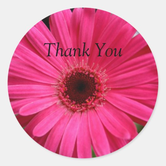 Sticker Rond Gerbera Rose Daisy (Devant)