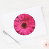 Sticker Rond Gerbera Rose Daisy (Enveloppe)