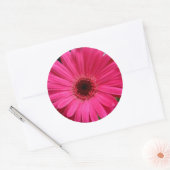 Sticker Rond Gerbera Rose Daisy (Enveloppe)