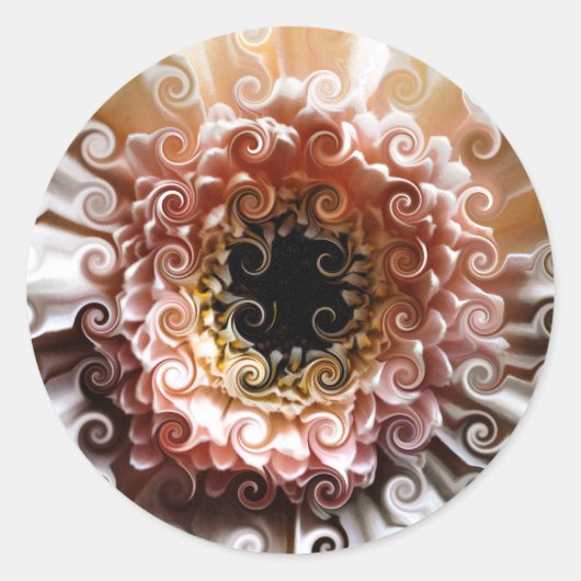 STICKER ROND GERBERAS (Devant)