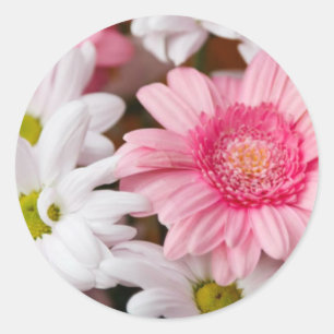 Sticker Rond Gerberas Et Chrysanthèmes
