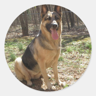 Sticker Rond german shepard