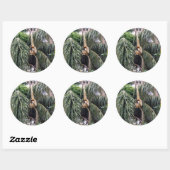 Sticker Rond Gibbon Monkey Juste Accroché Autour, (Feuille)