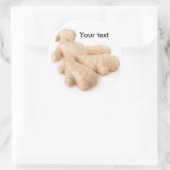 Sticker Rond Gingembre frais (Sac)