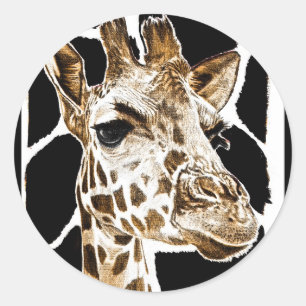 Sticker Rond girafe