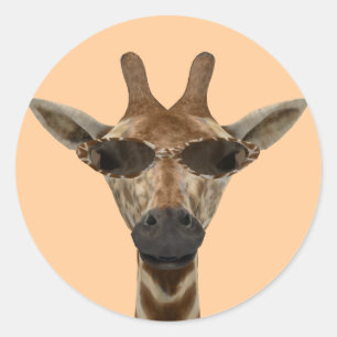 Sticker Rond Girafe Drôle Incognito Avec Lunettes De Soleil Ten