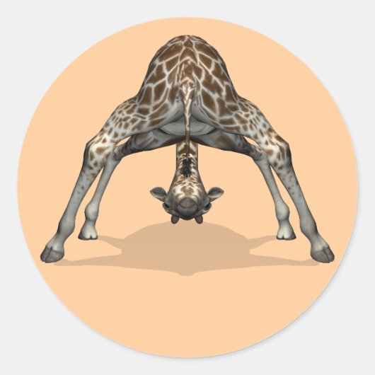 Sticker Rond Girafe flexible (Devant)