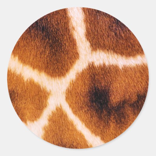 STICKER ROND GIRAFFES (Devant)