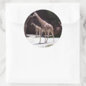 Sticker Rond Giraffes (Sac)