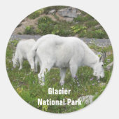 Sticker Rond Glacier National Park Mountain Chèvres Photo (Devant)