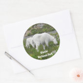 Sticker Rond Glacier National Park Mountain Chèvres Photo (Enveloppe)