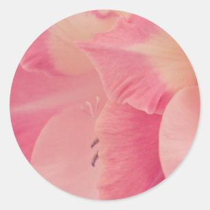 Sticker Rond Gladiola Petals