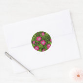 Sticker Rond Gloire du matin en rose et vert (Enveloppe)