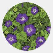 Sticker Rond Gloire du matin en violet et vert (Devant)