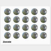 Sticker Rond Gohawk du Nord (Feuille)