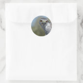 Sticker Rond Gohawk du Nord (Sac)
