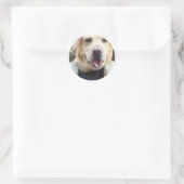 Sticker Rond Golden Labrador Retriever (Sac)