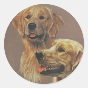 Sticker Rond Golden Retriever