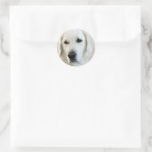Sticker Rond Golden Retriever (Sac)