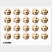 Sticker Rond Golden Retriever (Feuille)