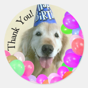 Sticker Rond Golden Retriever Avec Ballons Merci Anniversaire