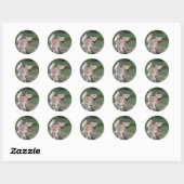 Sticker Rond Golden retriever courant 1 (Feuille)