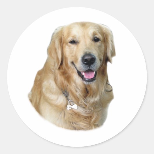 Sticker Rond Golden Retriever dog photo (Devant)