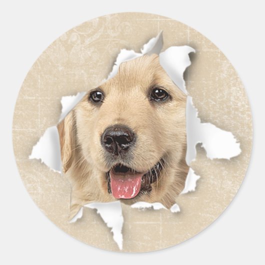 Sticker Rond Golden Retriever in Paper Hole (Devant)