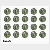 Sticker Rond Golden Retriever Running 2 (Feuille)