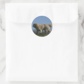 Sticker Rond Golden Retriever Running 3 (Sac)