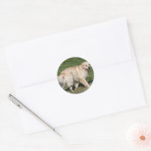 Sticker Rond Golden Retriever Walking (Enveloppe)
