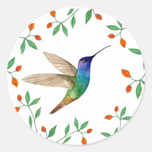 Sticker Rond Golden-tailed Sapphire Hummingbird Blank (Devant)