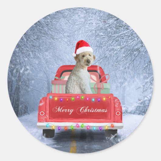 Sticker Rond Goldendoodle Chien en Neige assis à Noël (Devant)
