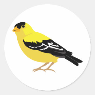 Sticker Rond Goldfinch oriental