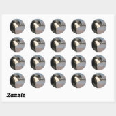 Sticker Rond Goose Closeup (Feuille)