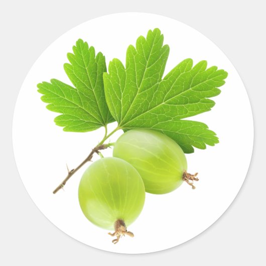 Sticker Rond Gooseberries (Devant)