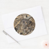 Sticker Rond Gopher de poche (Enveloppe)