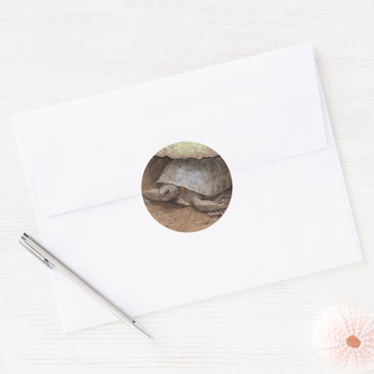 Sticker Rond Gopher Turtle (Enveloppe)
