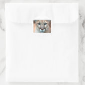 STICKER ROND GORGEANT COUGAR (Sac)