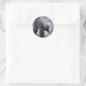 Sticker Rond Gorilla (Sac)