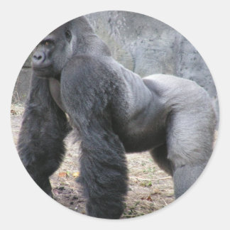 Sticker Rond Gorilla
