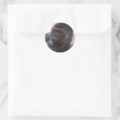 Sticker Rond Gorilla_004 (Sac)